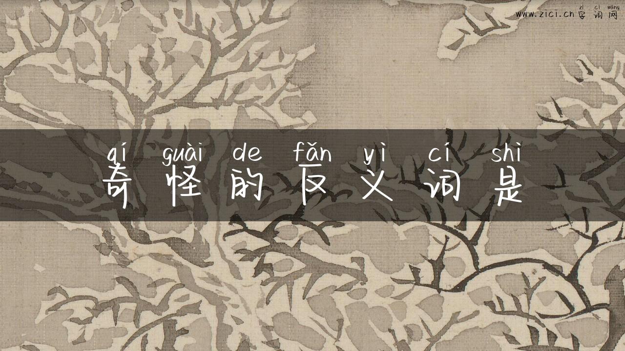 奇怪的反义词是