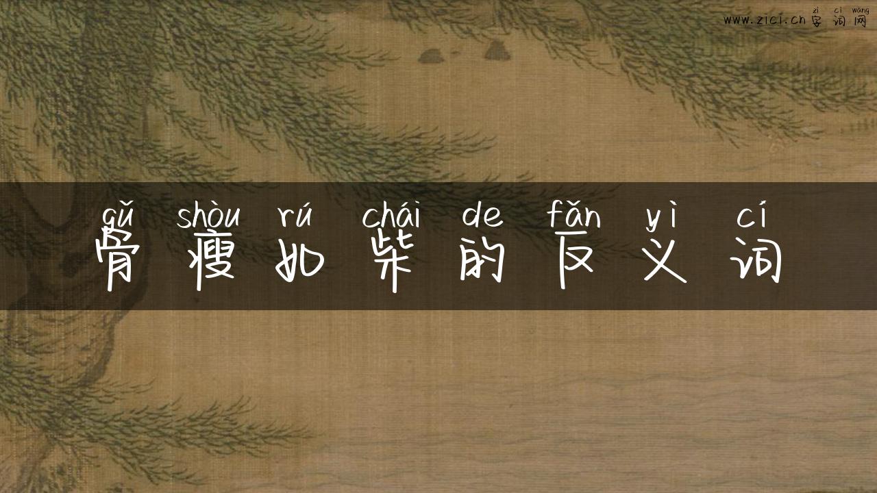 骨瘦如柴的反义词