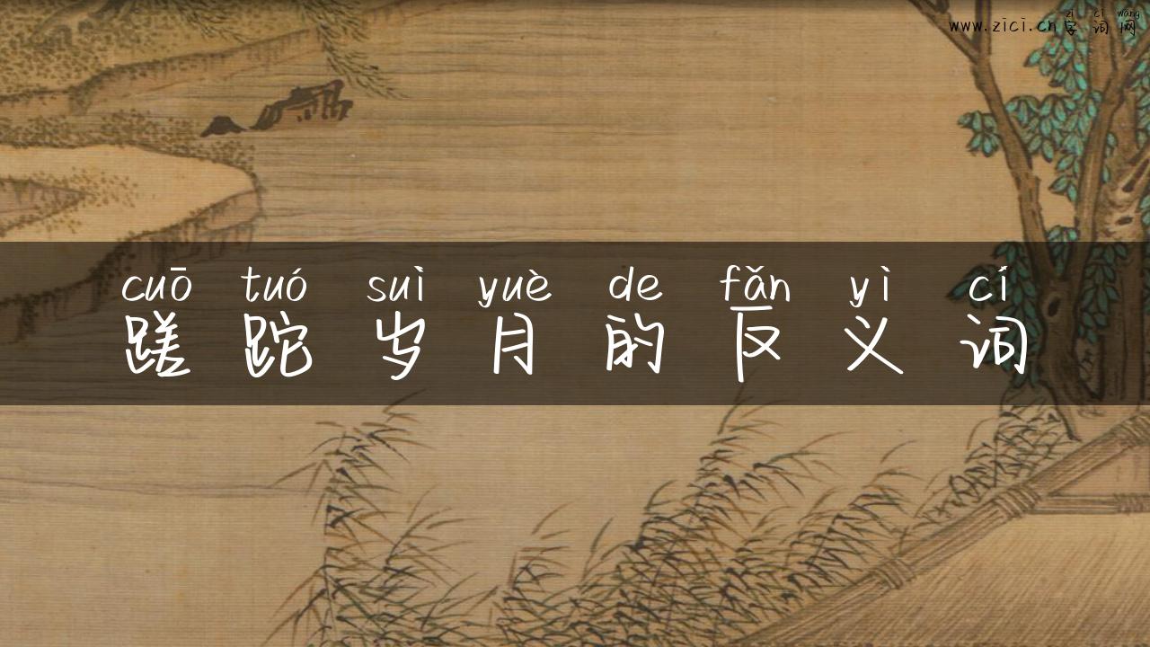 蹉跎岁月的反义词