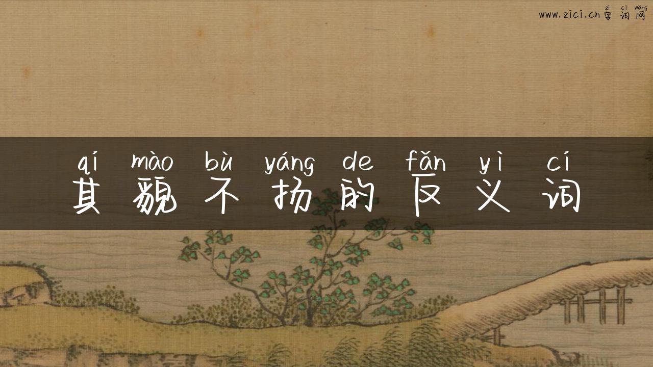 其貌不扬的反义词