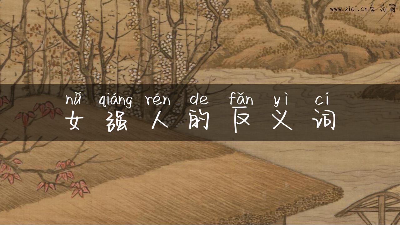 女强人的反义词