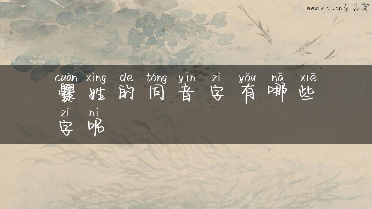 爨姓的同音字有哪些字呢