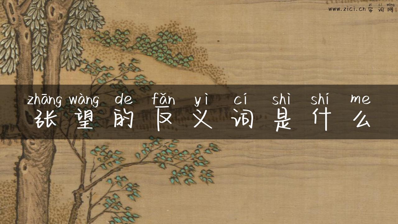 张望的反义词是什么