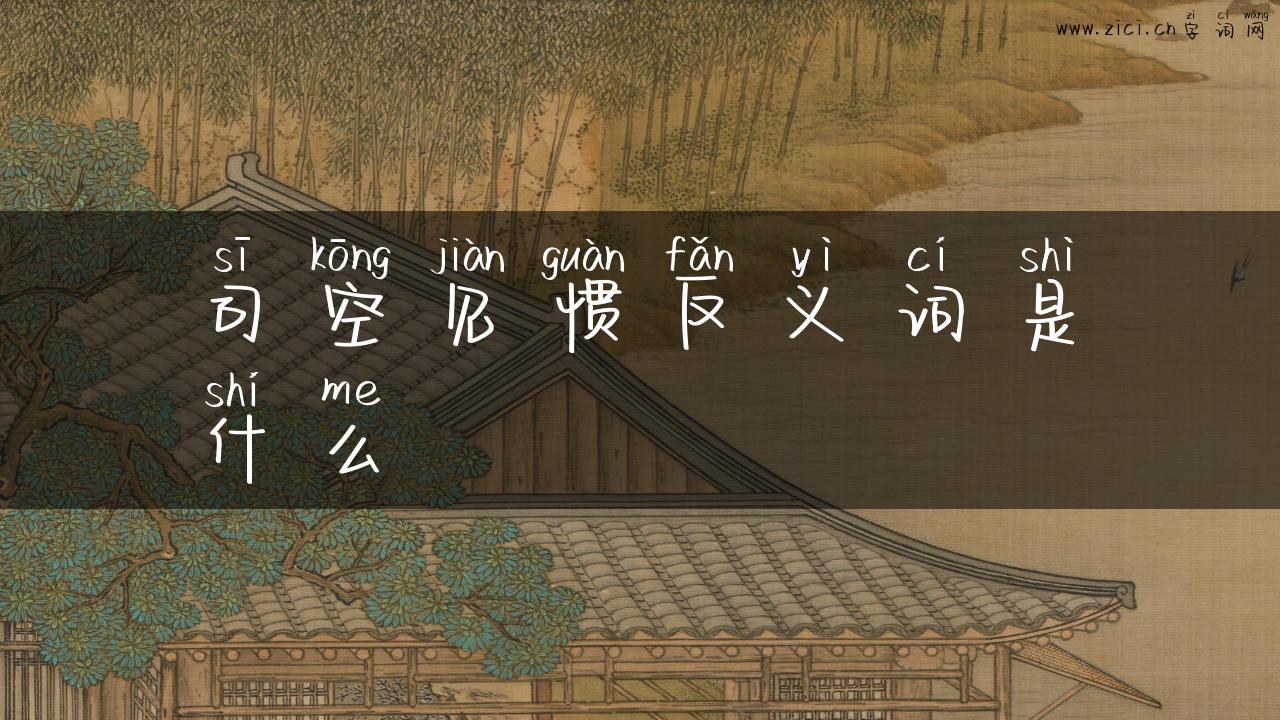 司空见惯反义词是什么