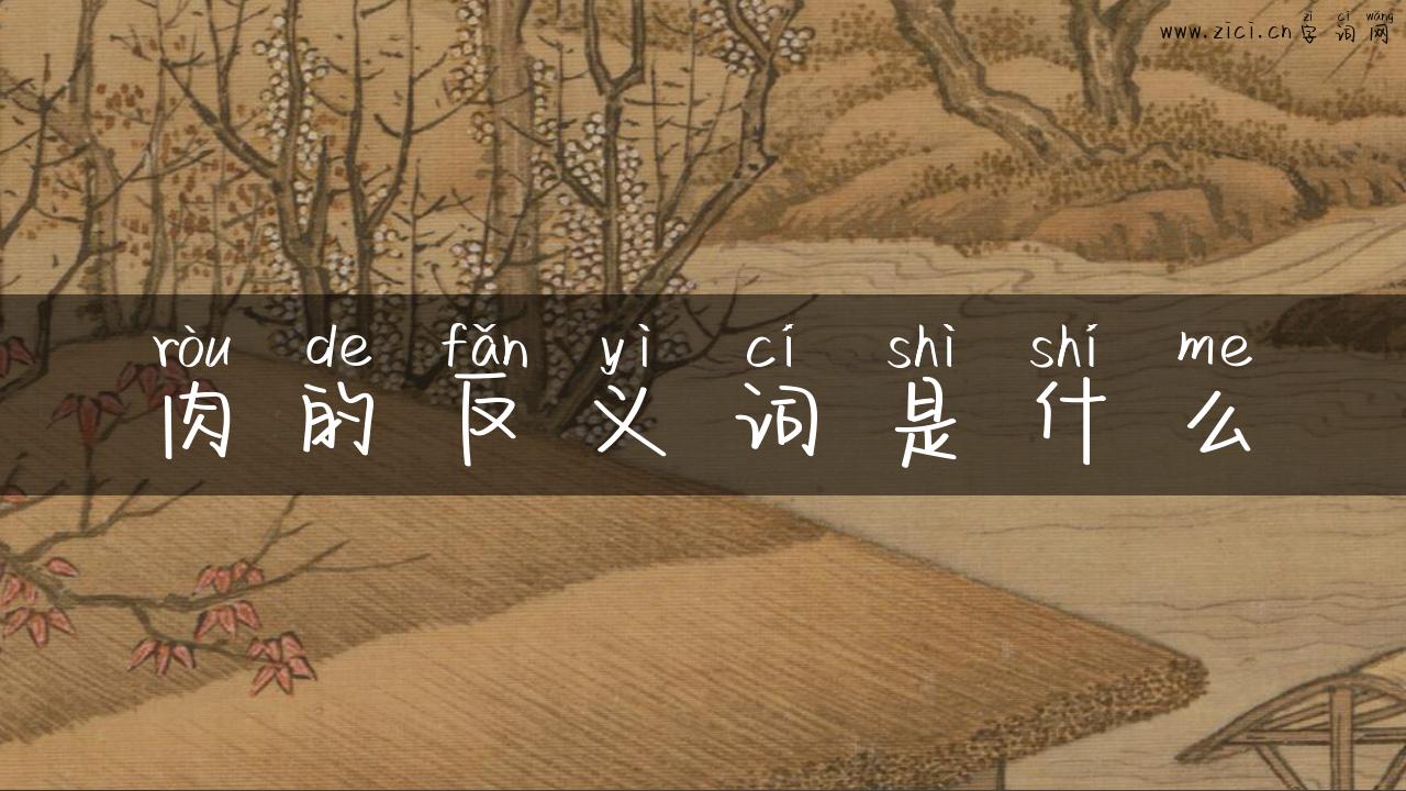 肉的反义词是什么