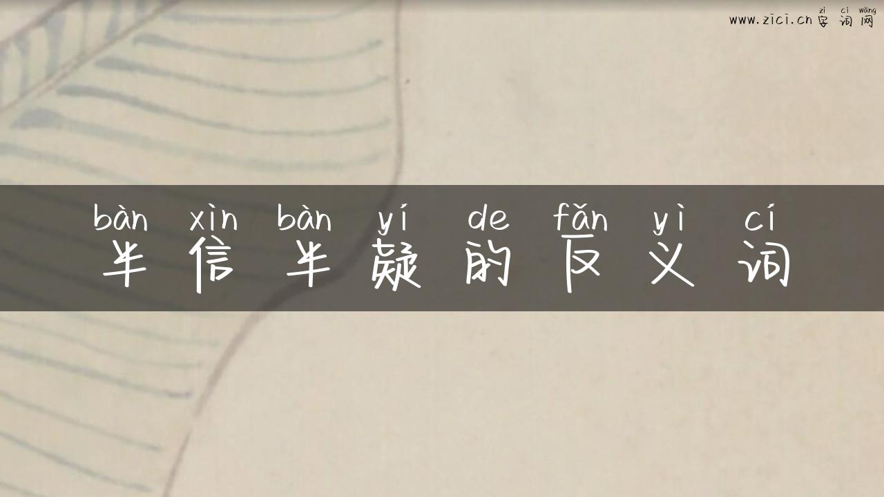 半信半疑的反义词