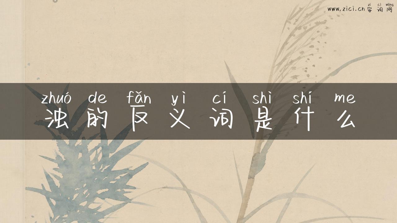 浊的反义词是什么