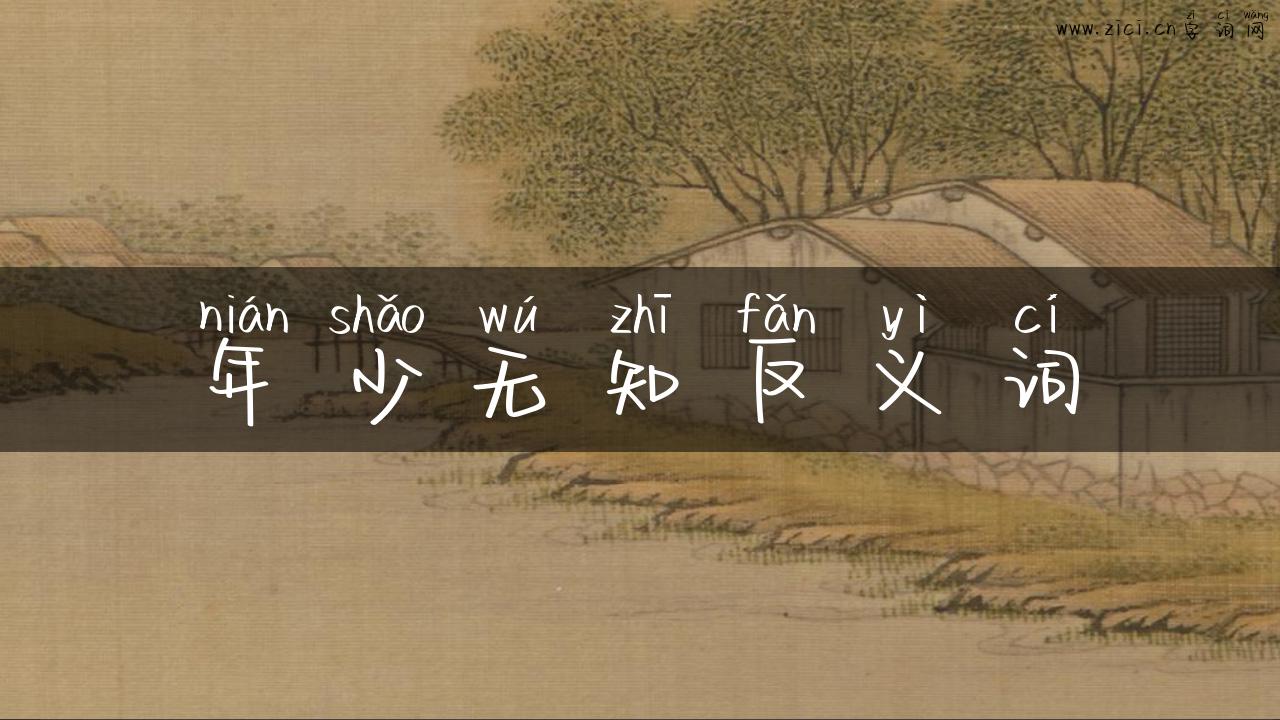 年少无知反义词