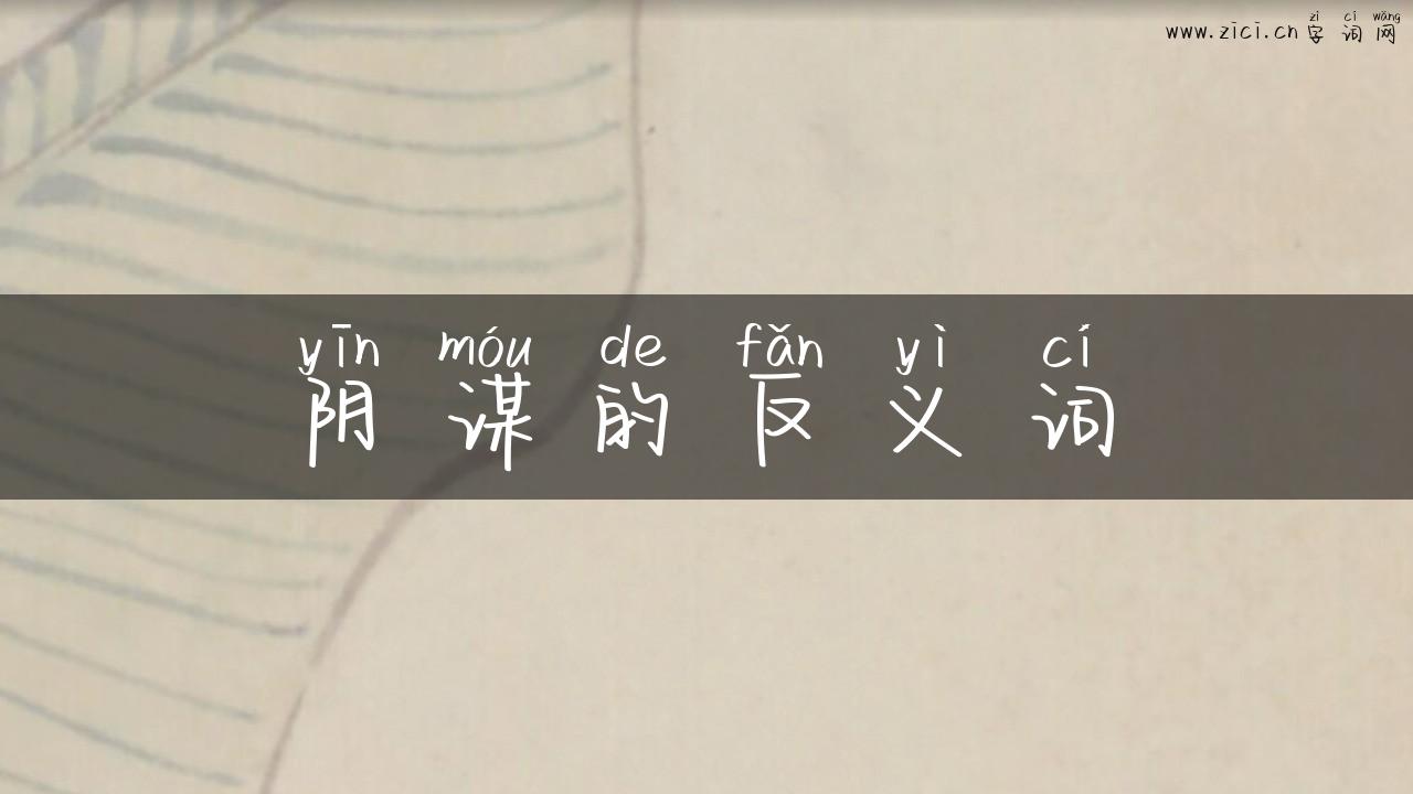 阴谋的反义词