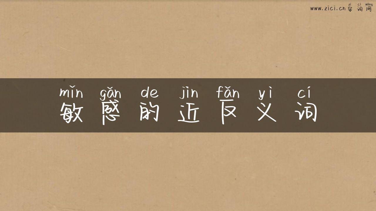 敏感的近反义词