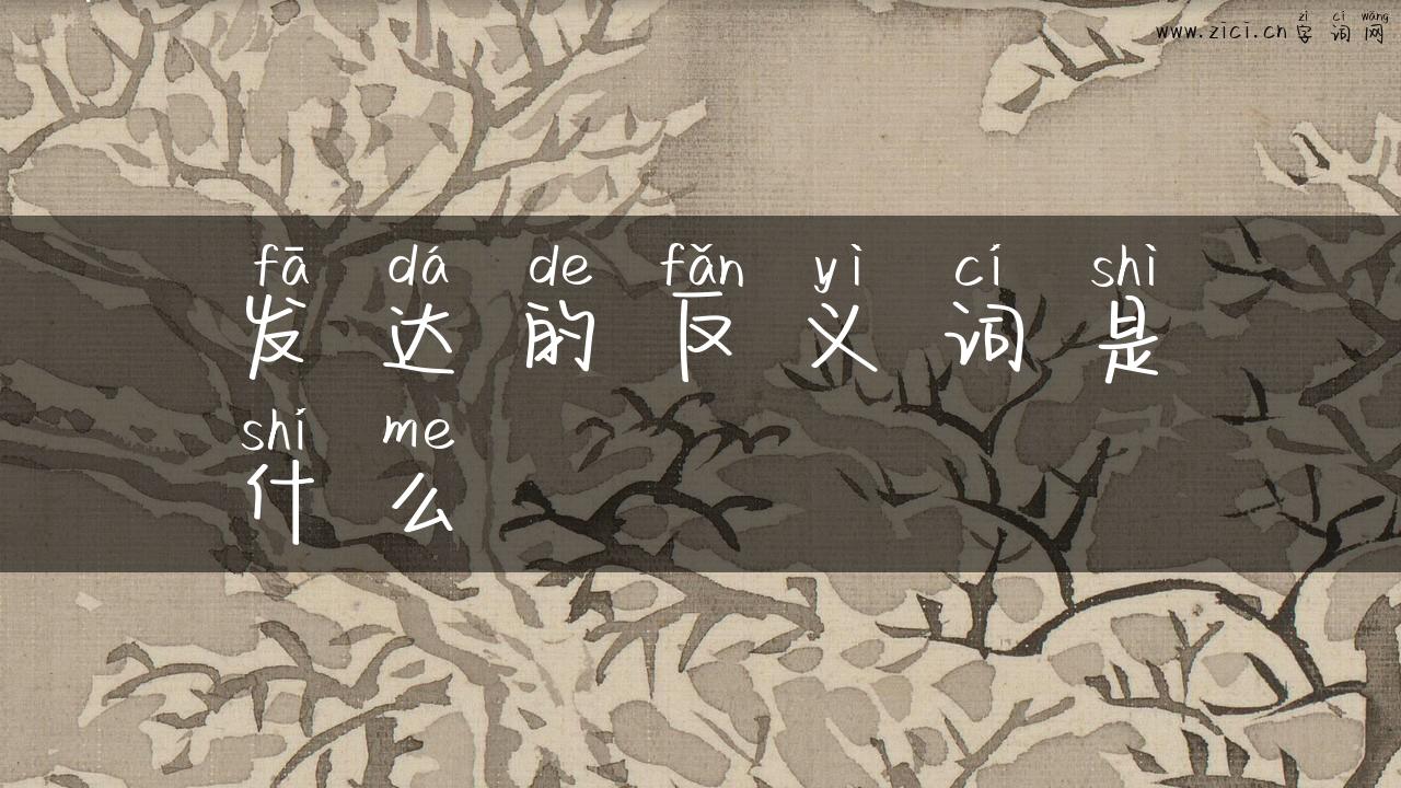 发达的反义词是什么