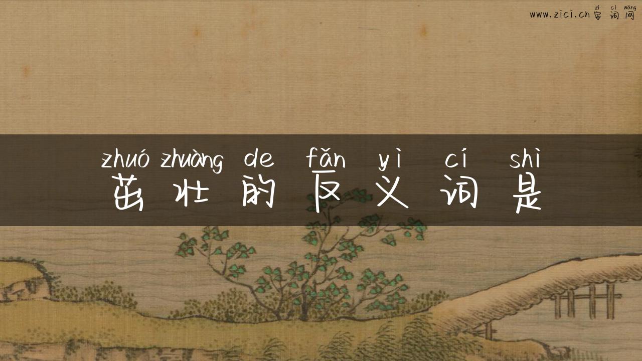 茁壮的反义词是