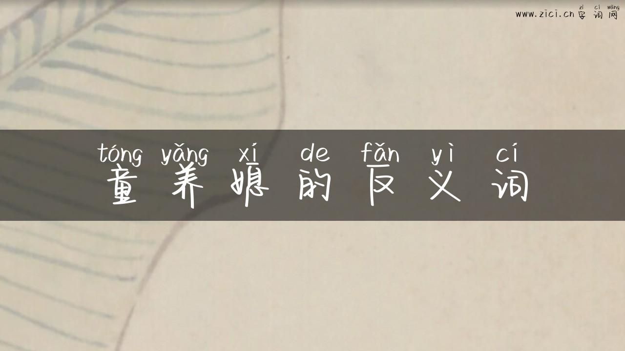 童养媳的反义词