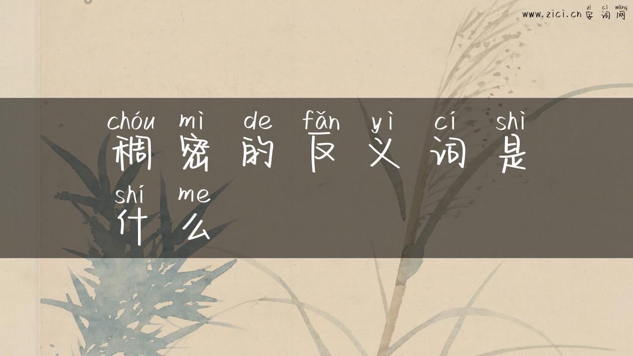 稠密的反义词是什么