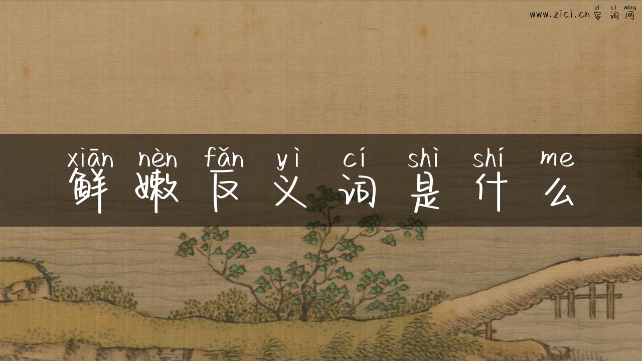 鲜嫩反义词是什么