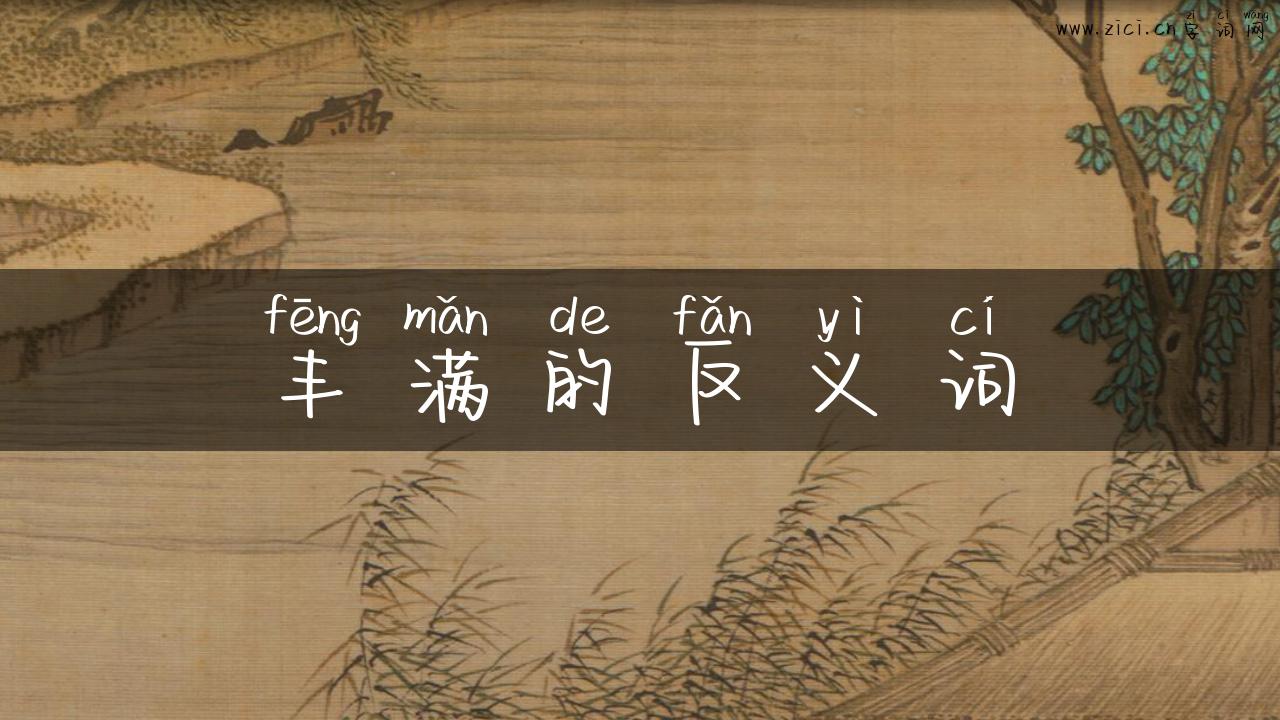 丰满的反义词