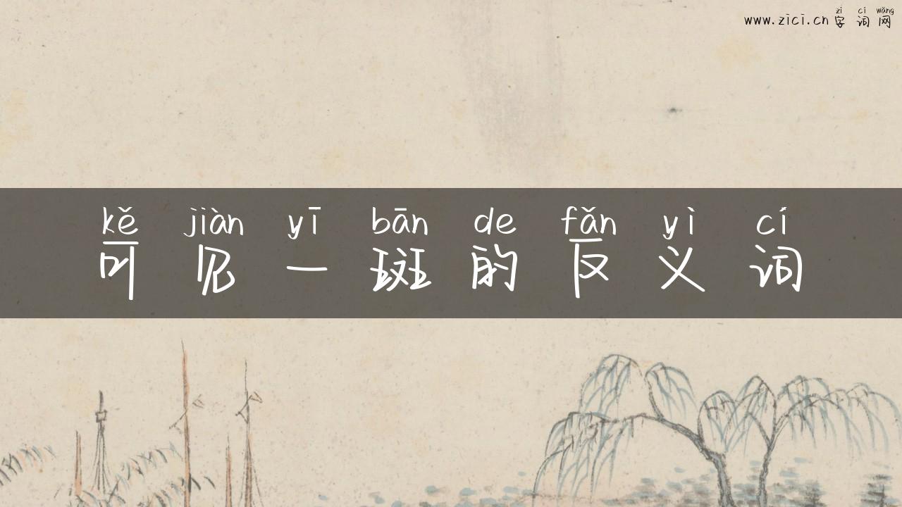 可见一斑的反义词