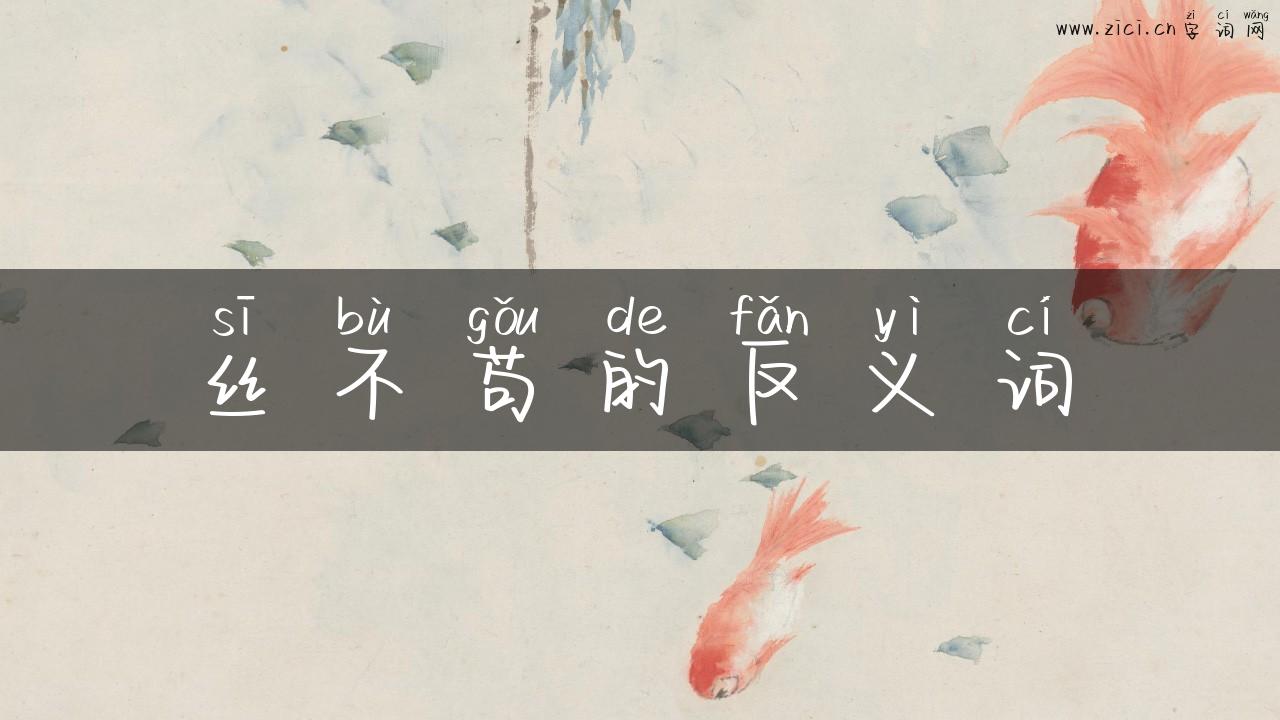 丝不苟的反义词