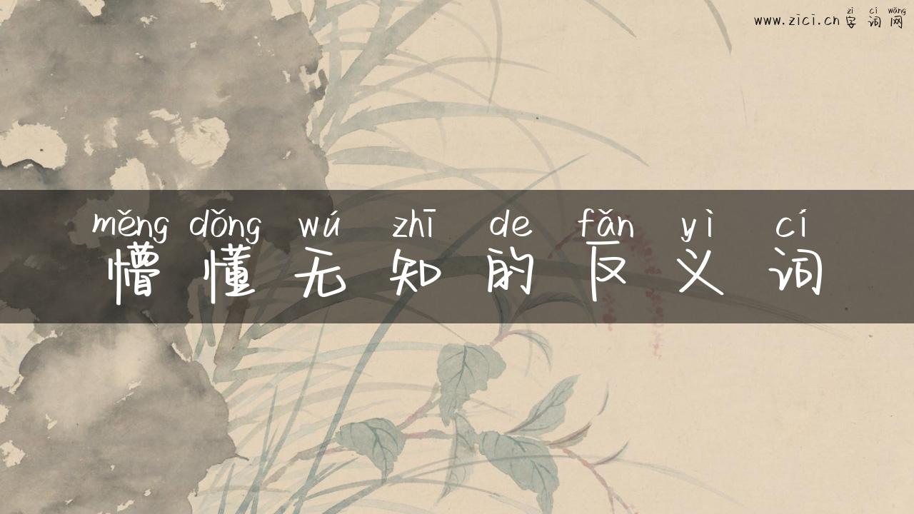 懵懂无知的反义词