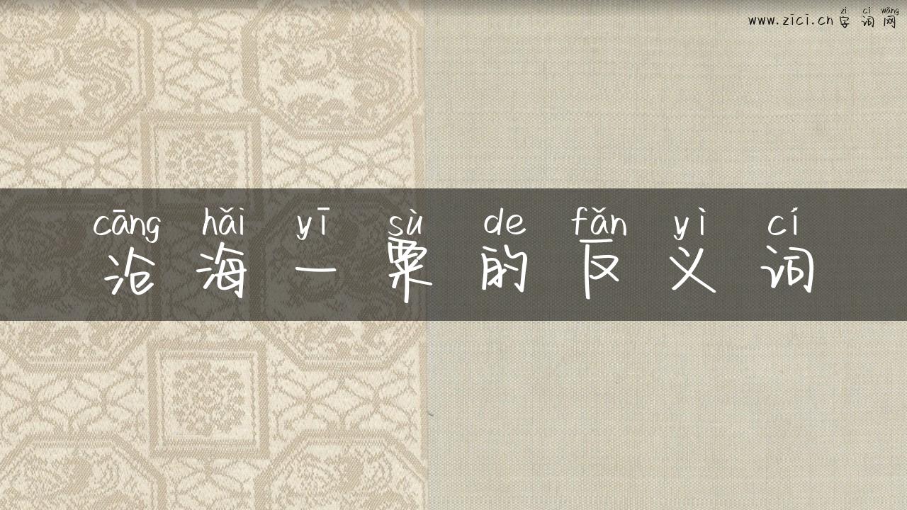 沧海一粟的反义词