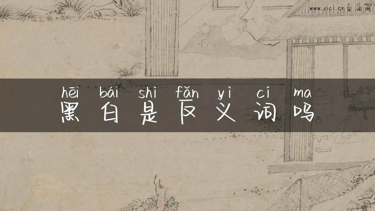 黑白是反义词吗