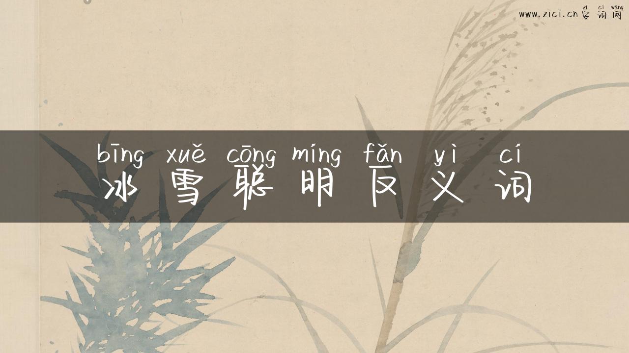 冰雪聪明反义词