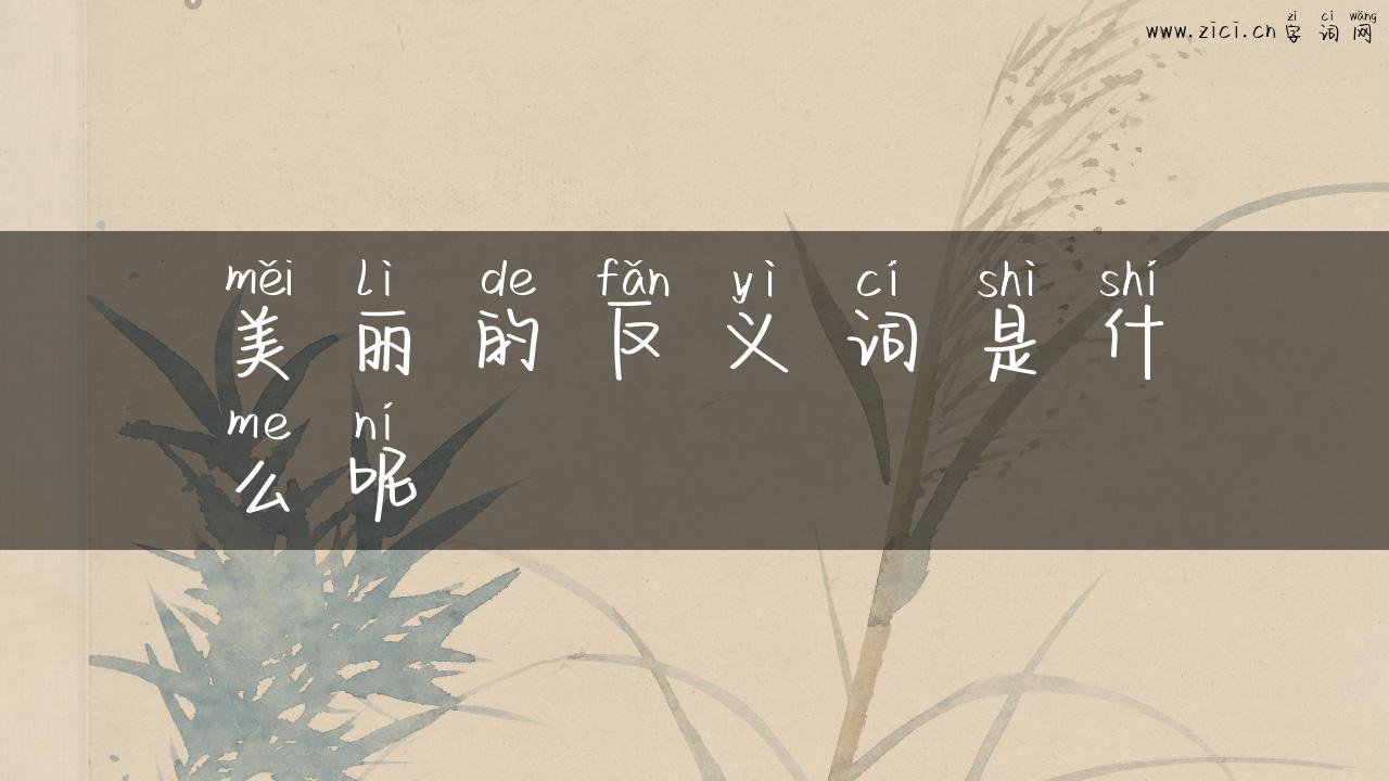 美丽的反义词是什么呢