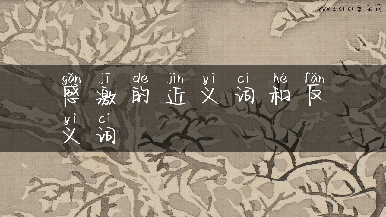 感激的近义词和反义词