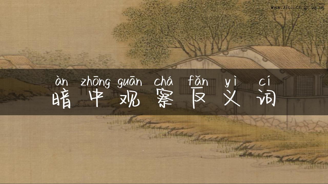 暗中观察反义词
