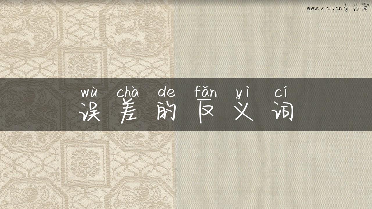 误差的反义词