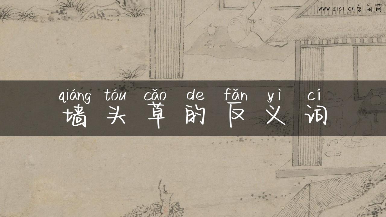 墙头草的反义词