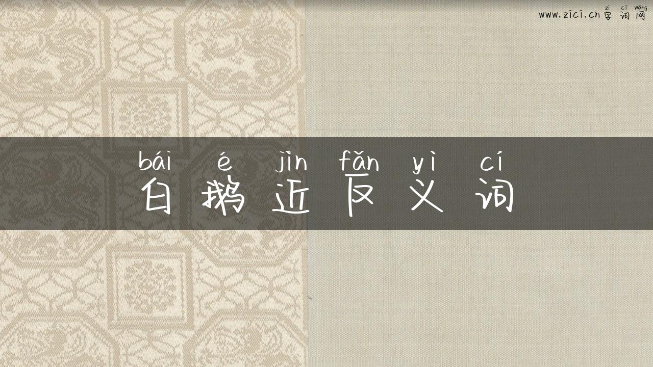 白鹅近反义词