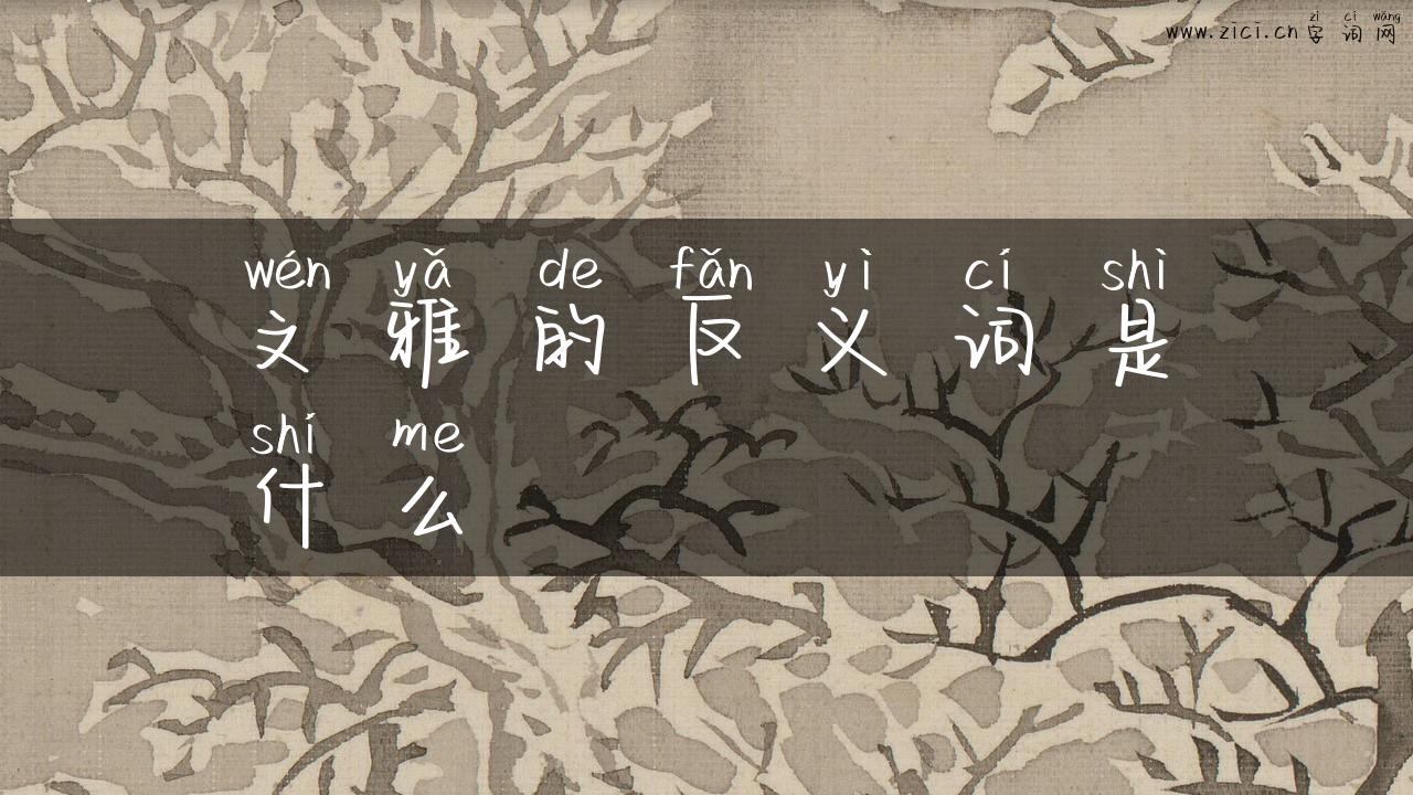 文雅的反义词是什么