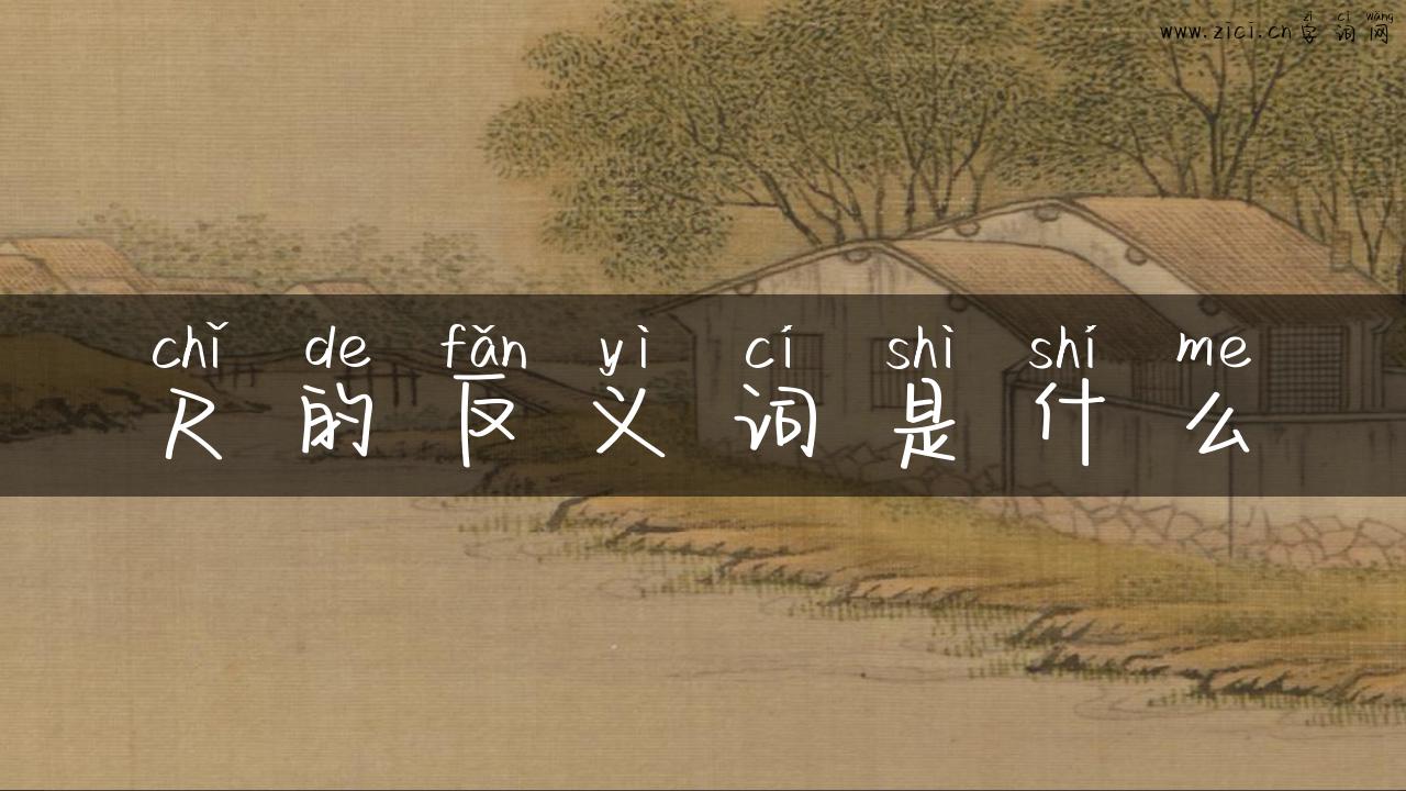 尺的反义词是什么