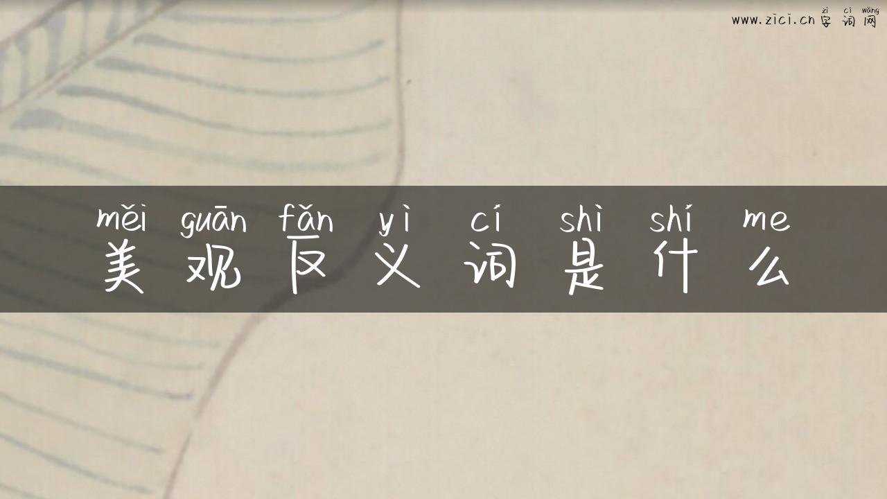 美观反义词是什么