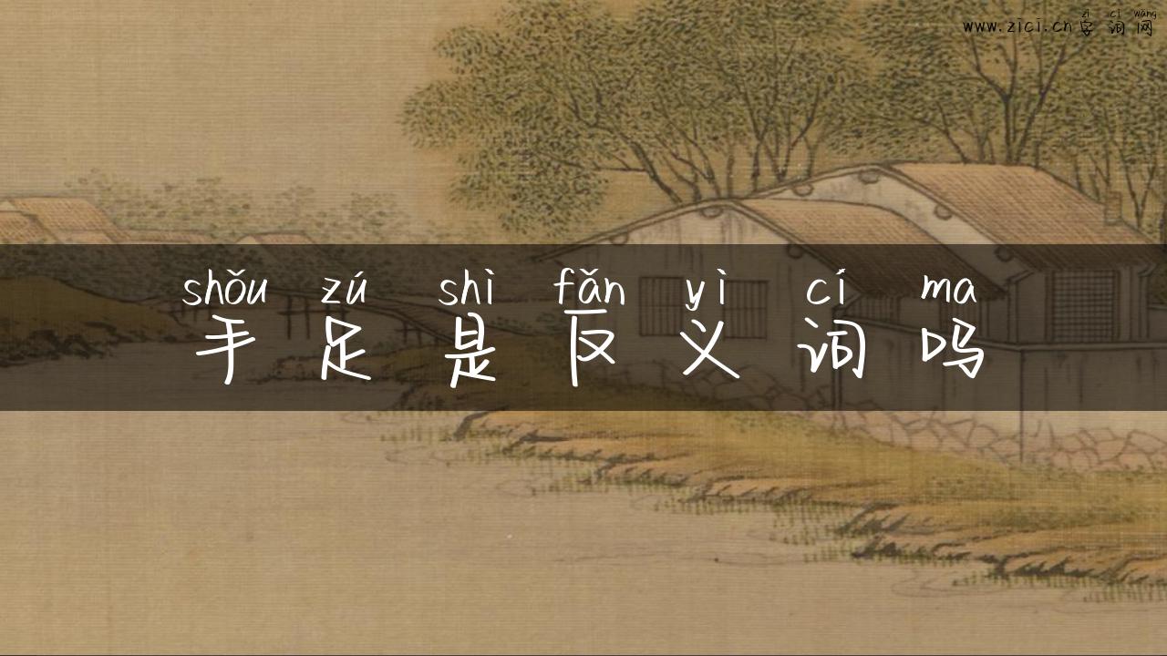 手足是反义词吗
