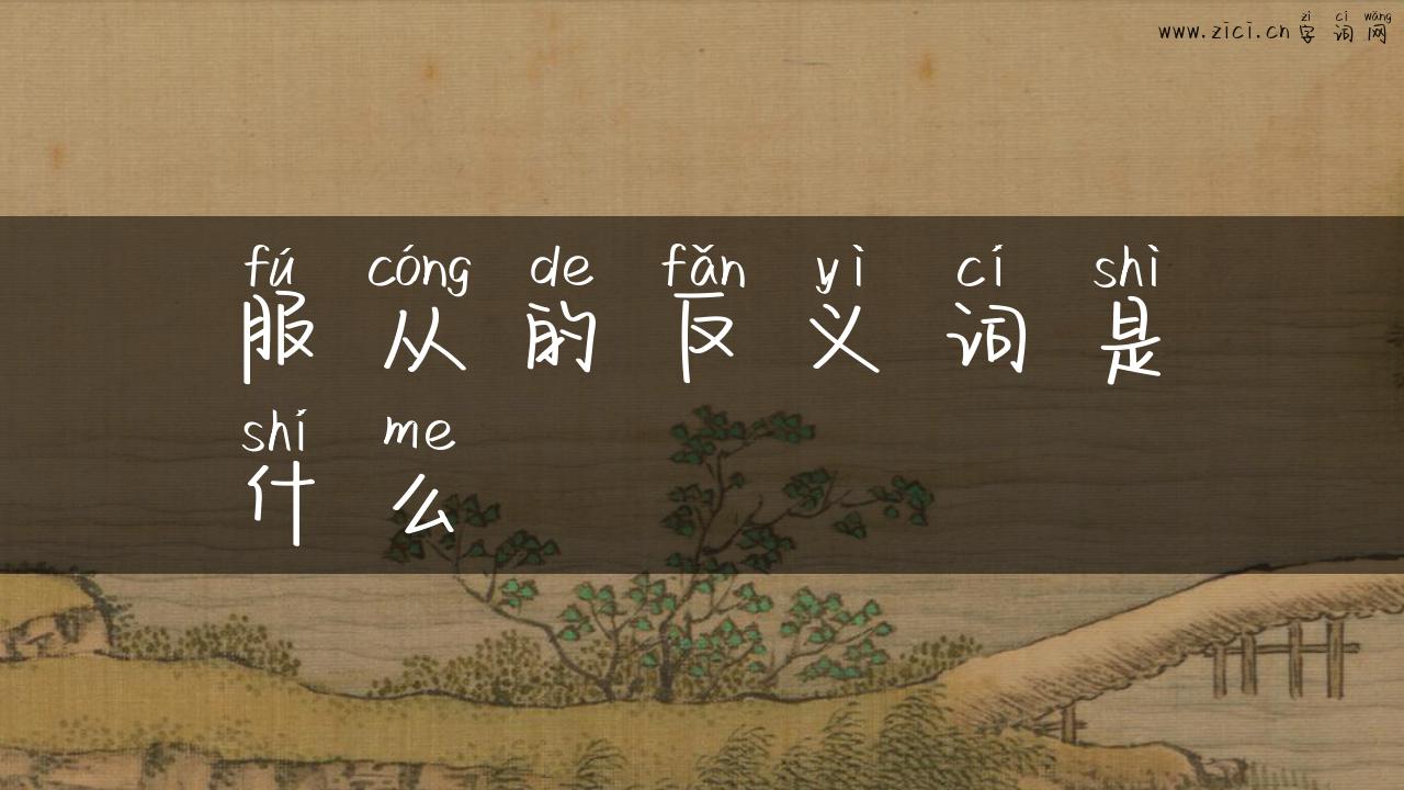 服从的反义词是什么