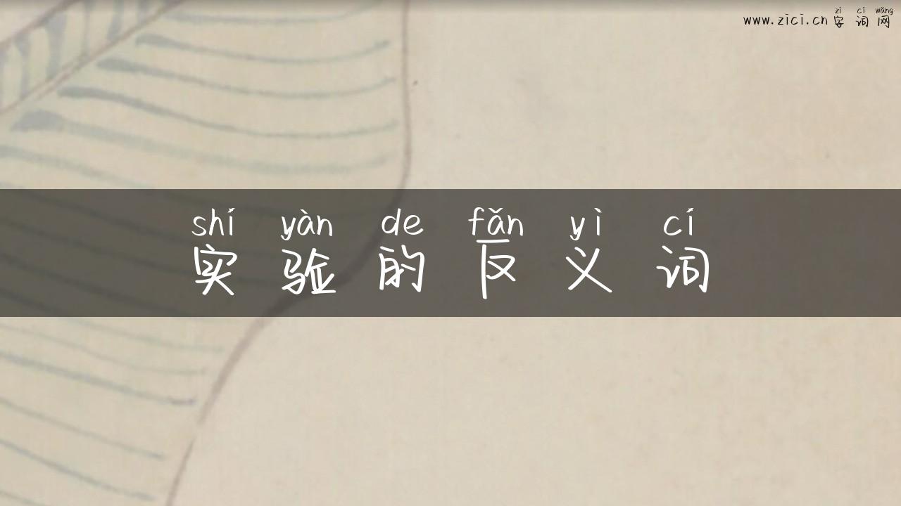 实验的反义词