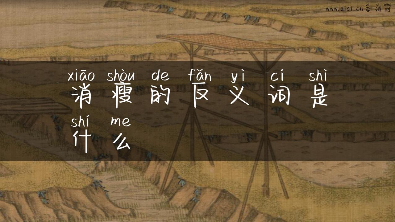 消瘦的反义词是什么