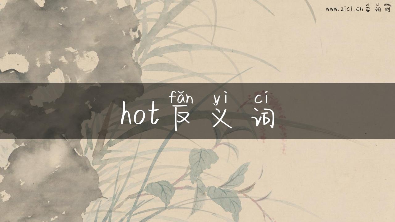 hot反义词
