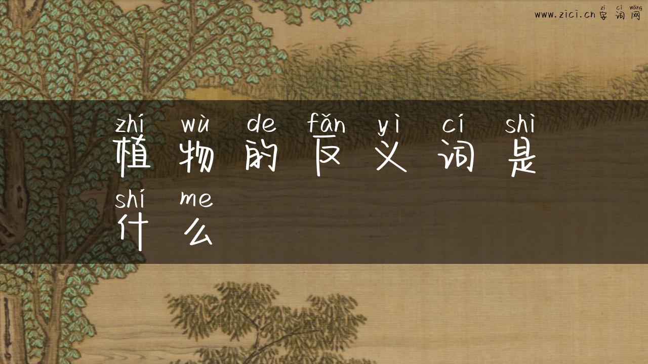 植物的反义词是什么