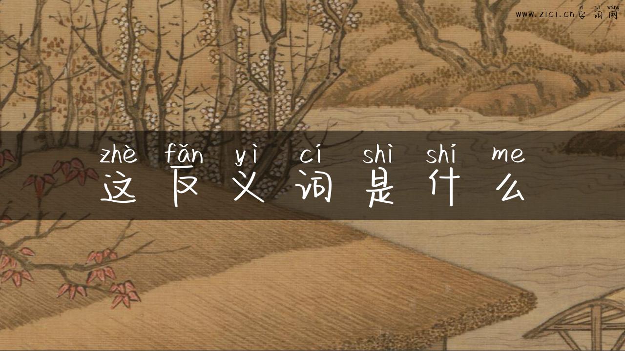这反义词是什么