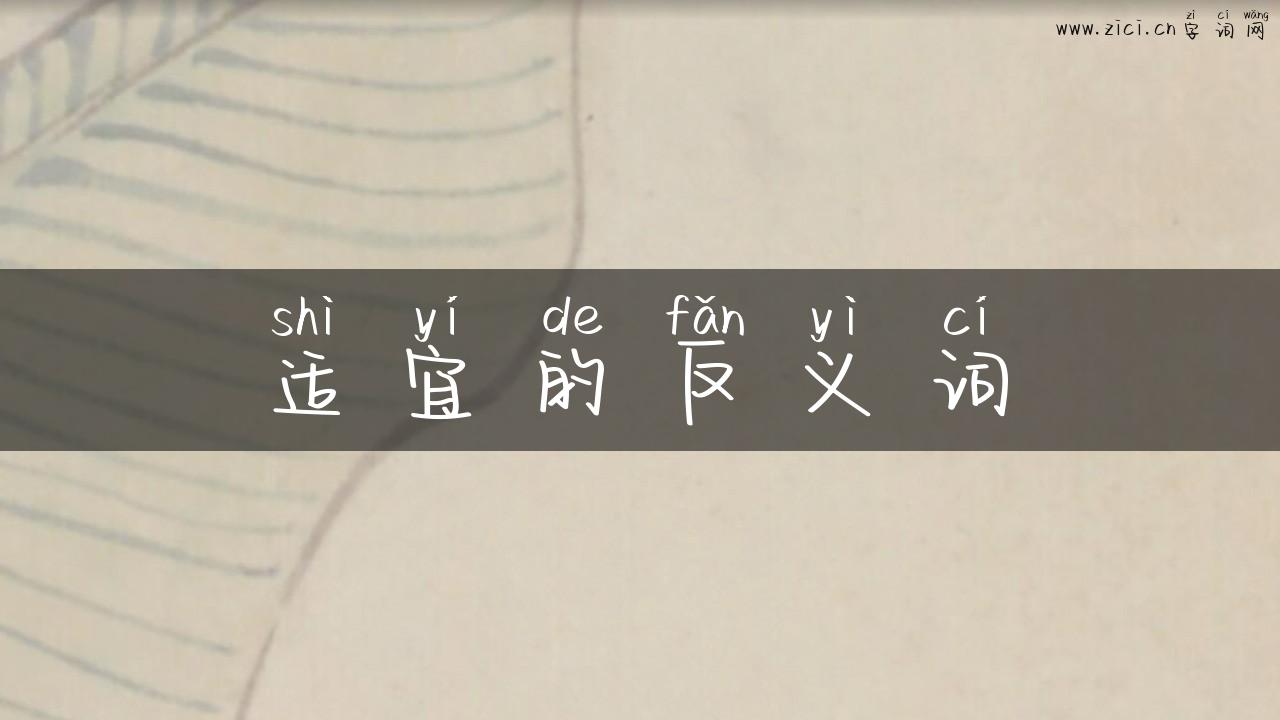 适宜的反义词