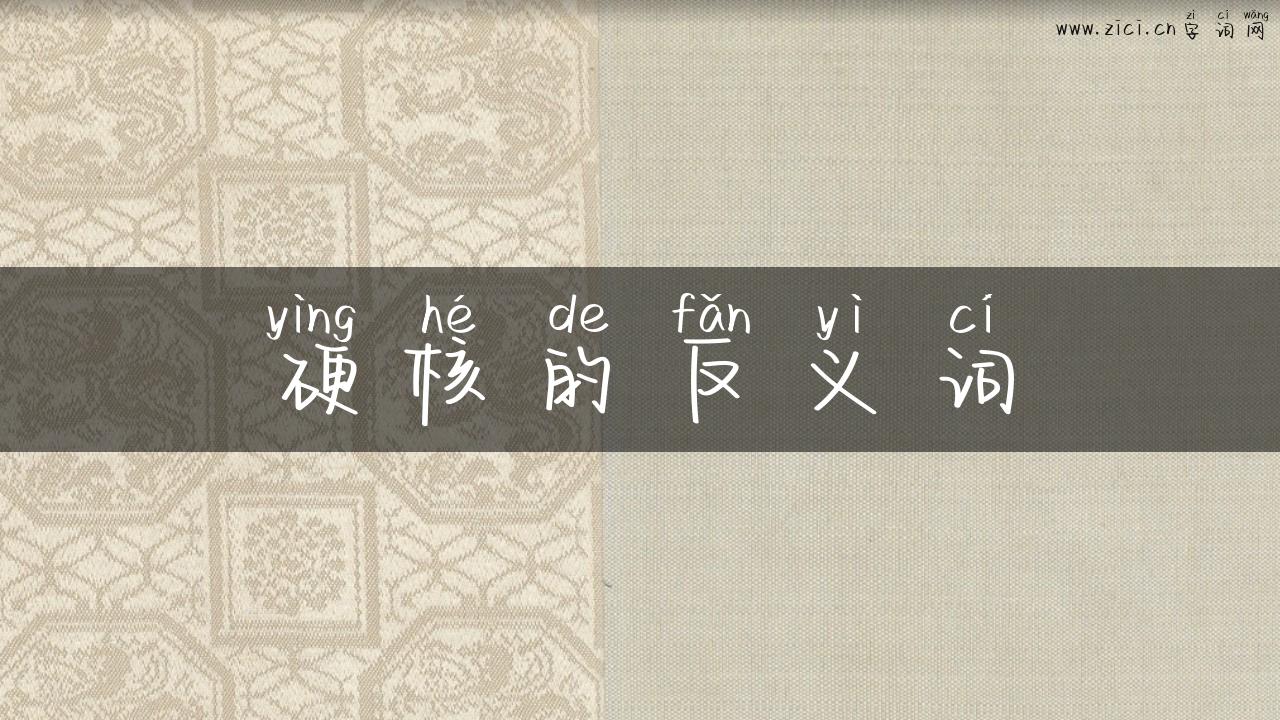 硬核的反义词