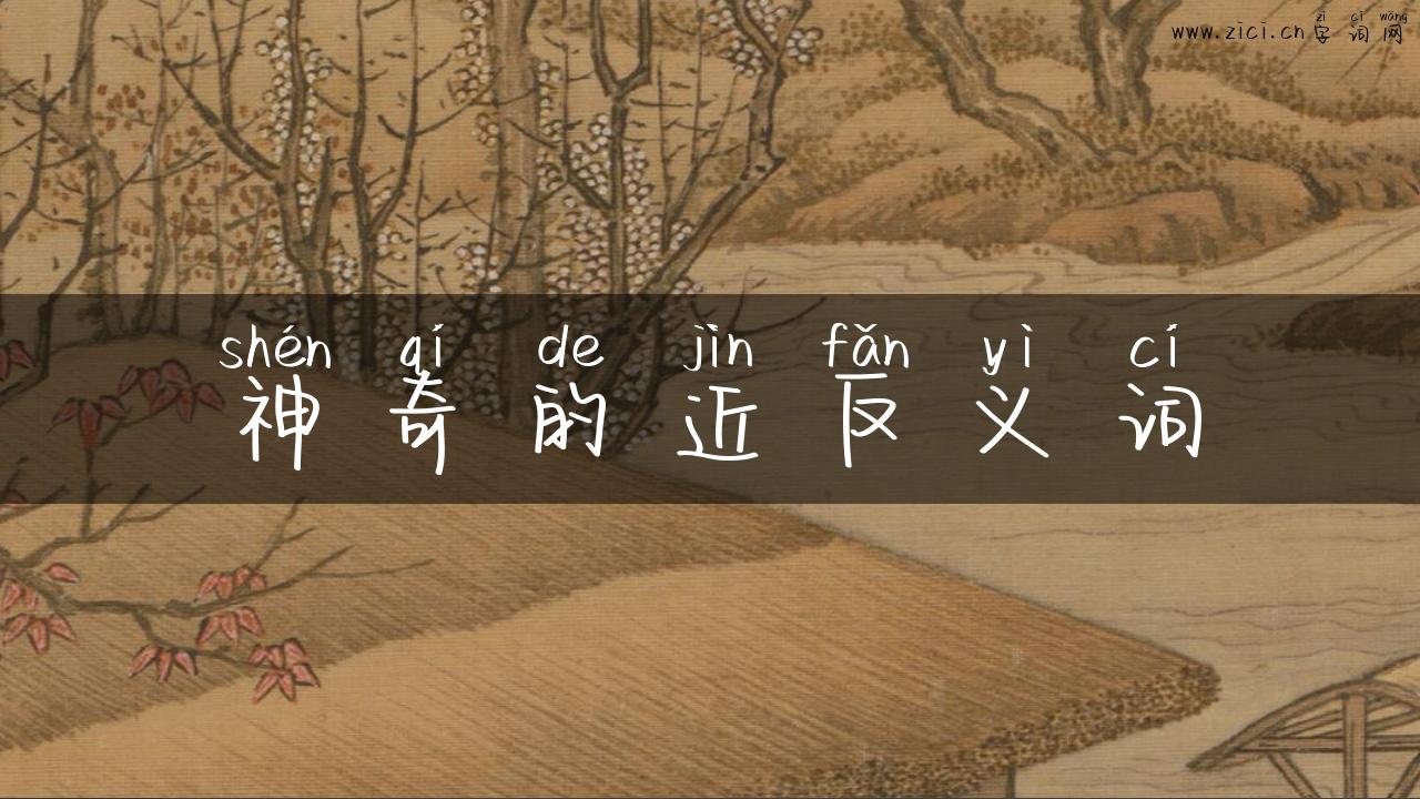 神奇的近反义词