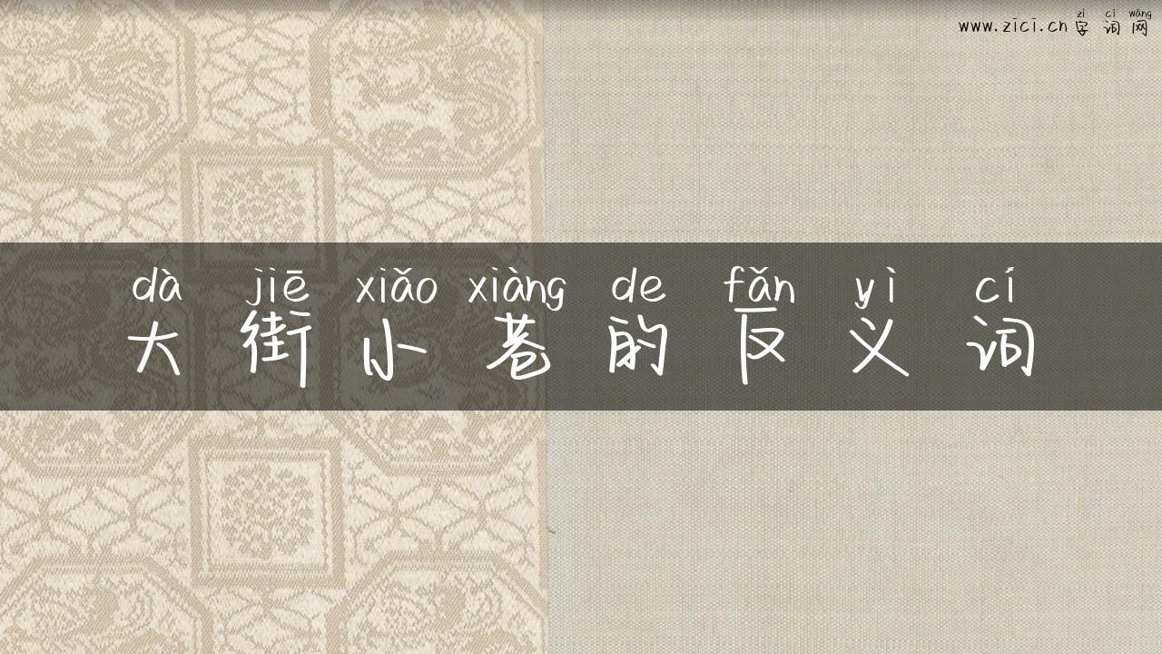 大街小巷的反义词