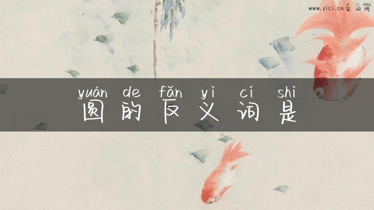 圆的反义词是