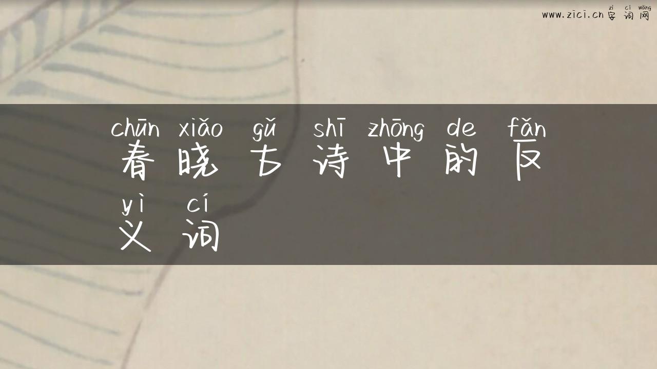 春晓古诗中的反义词