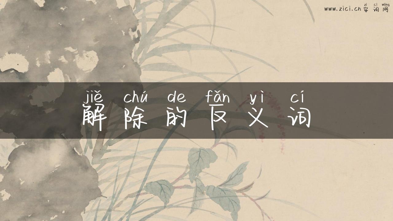 解除的反义词