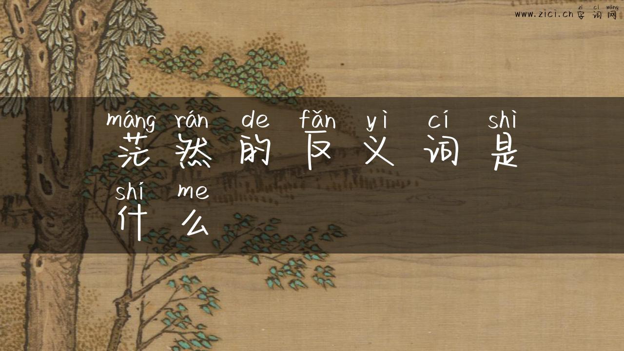 茫然的反义词是什么